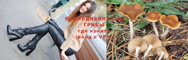 дживик Алексеевка